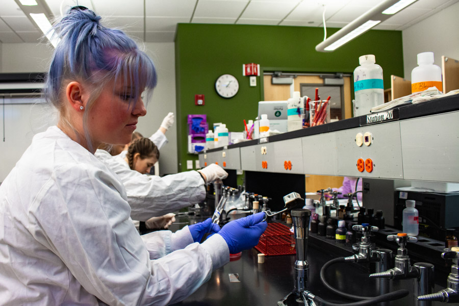 A female WSU student uses lab equipment during an experiement.